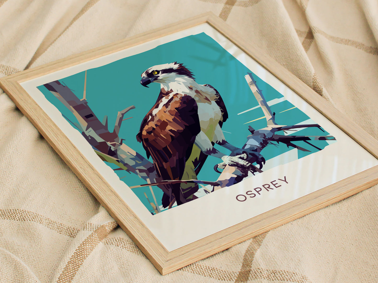 Osprey Poster | Florida Bird of Prey Wall Art Print