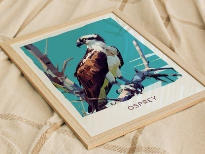 Osprey Poster | Florida Bird of Prey Wall Art Print