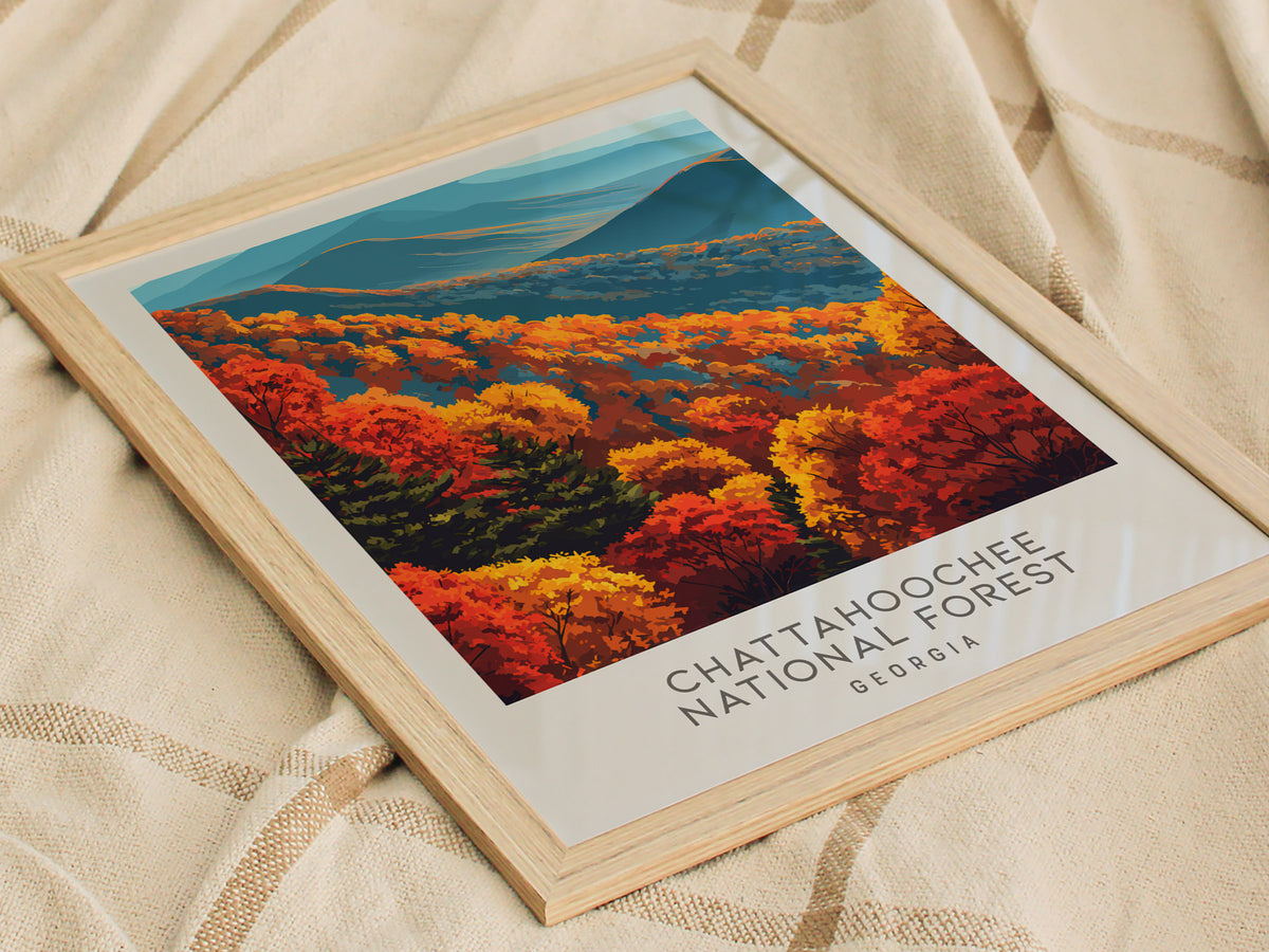 Chattahoochee National Forest Matte Border Poster | Georgia Travel Wall Art — styled in a modern interior