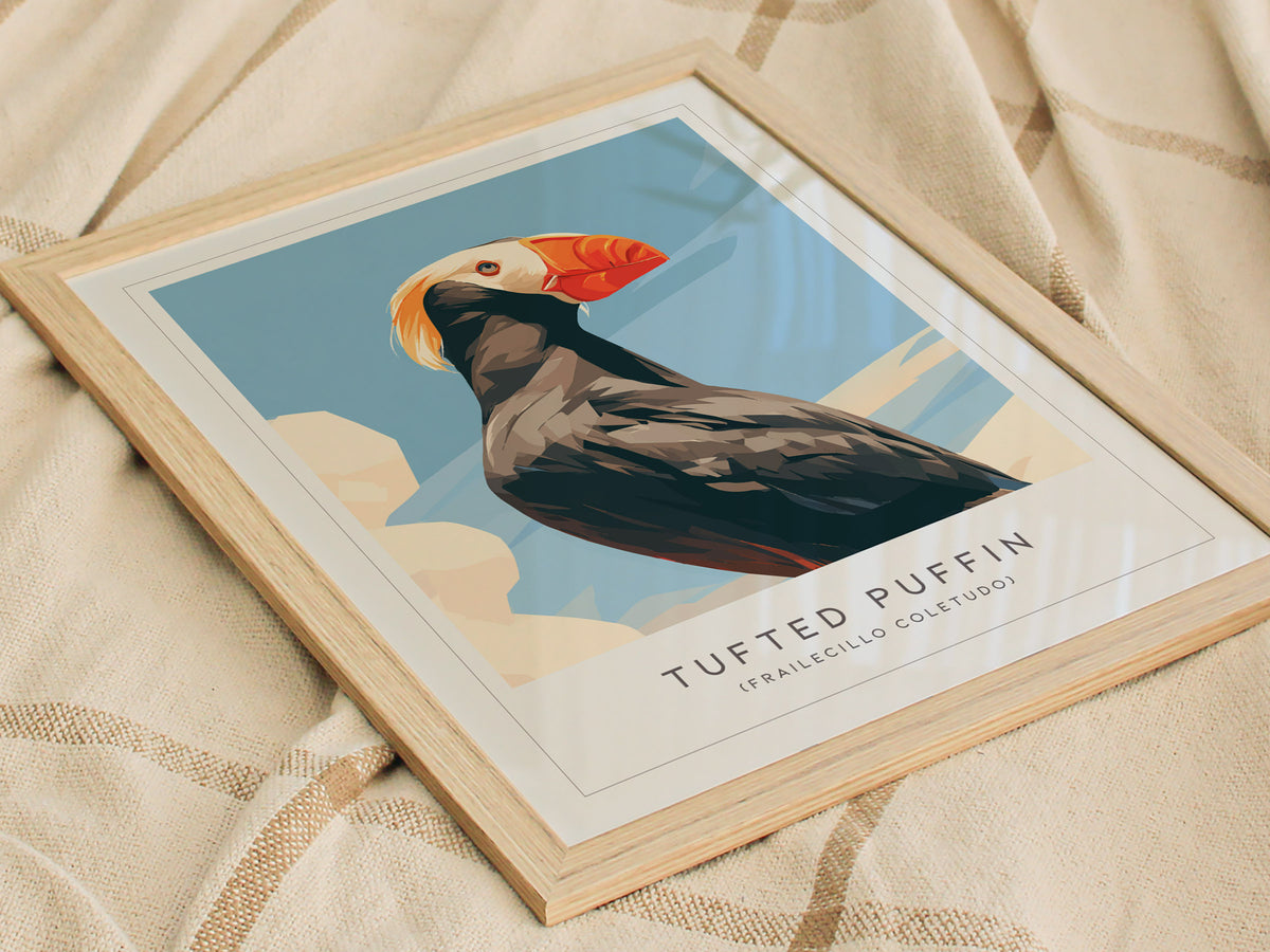 Tufted Puffin, Frailecillo Coletudo Poster | Bold Seabird Wildlife Print Wall Art — styled in a modern interior