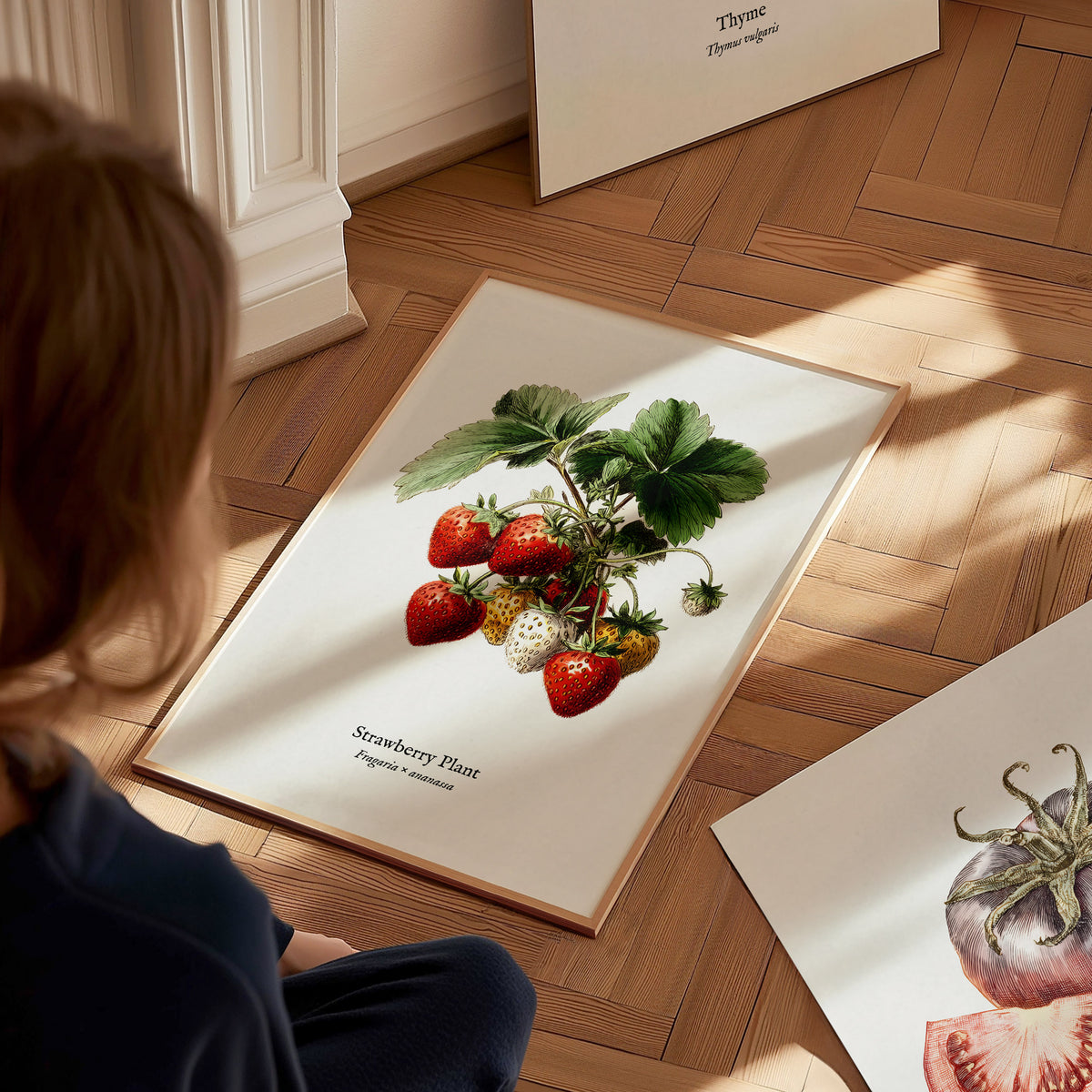 Strawberry Plant Poster | Vintage Fragaria × ananassa Botanical Illustration Wall Art — styled in a modern interior