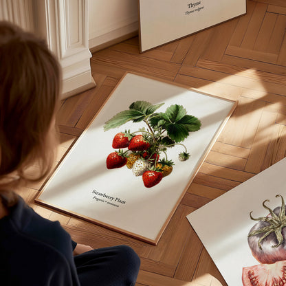 Strawberry Plant Poster | Vintage Fragaria × ananassa Botanical Illustration Wall Art — styled in a modern interior