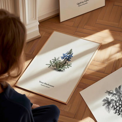 Texas Bluebonnet Poster | Vintage Lupinus texensis Botanical Illustration Wall Art — styled in a modern interior