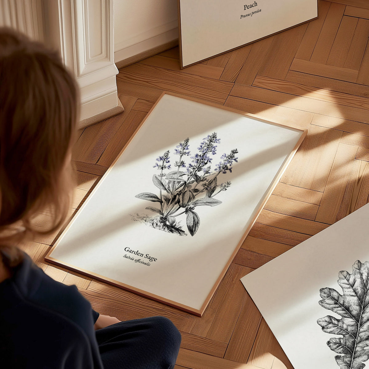 Garden Sage Poster | Salvia officinalis Pen and Ink Print Vintage Botanical Illustration Wall Art — styled in a modern interi