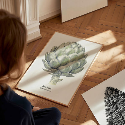 Artichoke Poster | Vintage Cynara Cardunculus Botanical Illustration Wall Art — styled in a modern interior