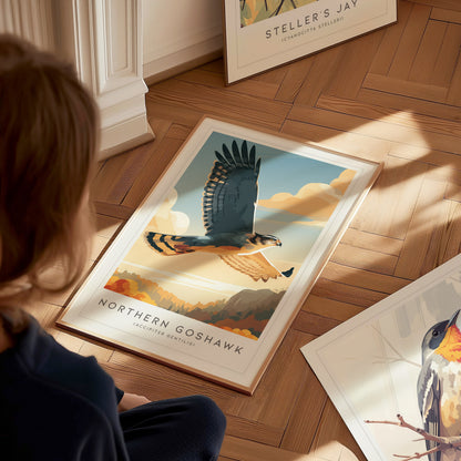 Northern Goshawk, Accipiter gentilis Poster | Fierce Raptor Bird Wall Art — styled in a modern interior