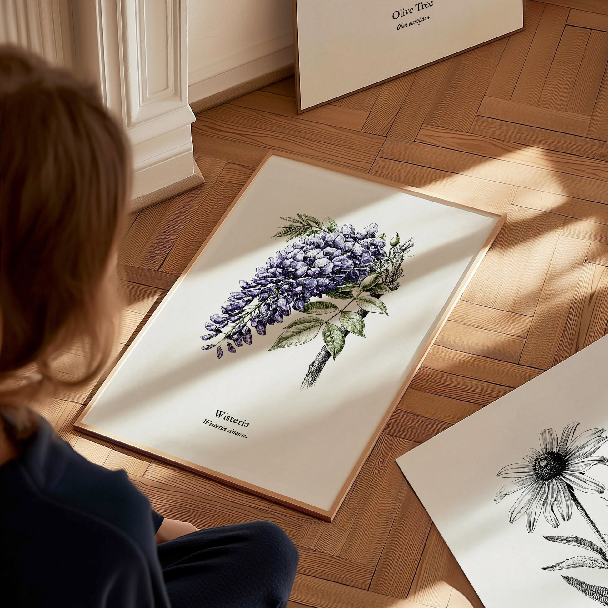 Wisteria Poster | Vintage Wisteria sinensis Botanical Illustration Wall Art — styled in a modern interior