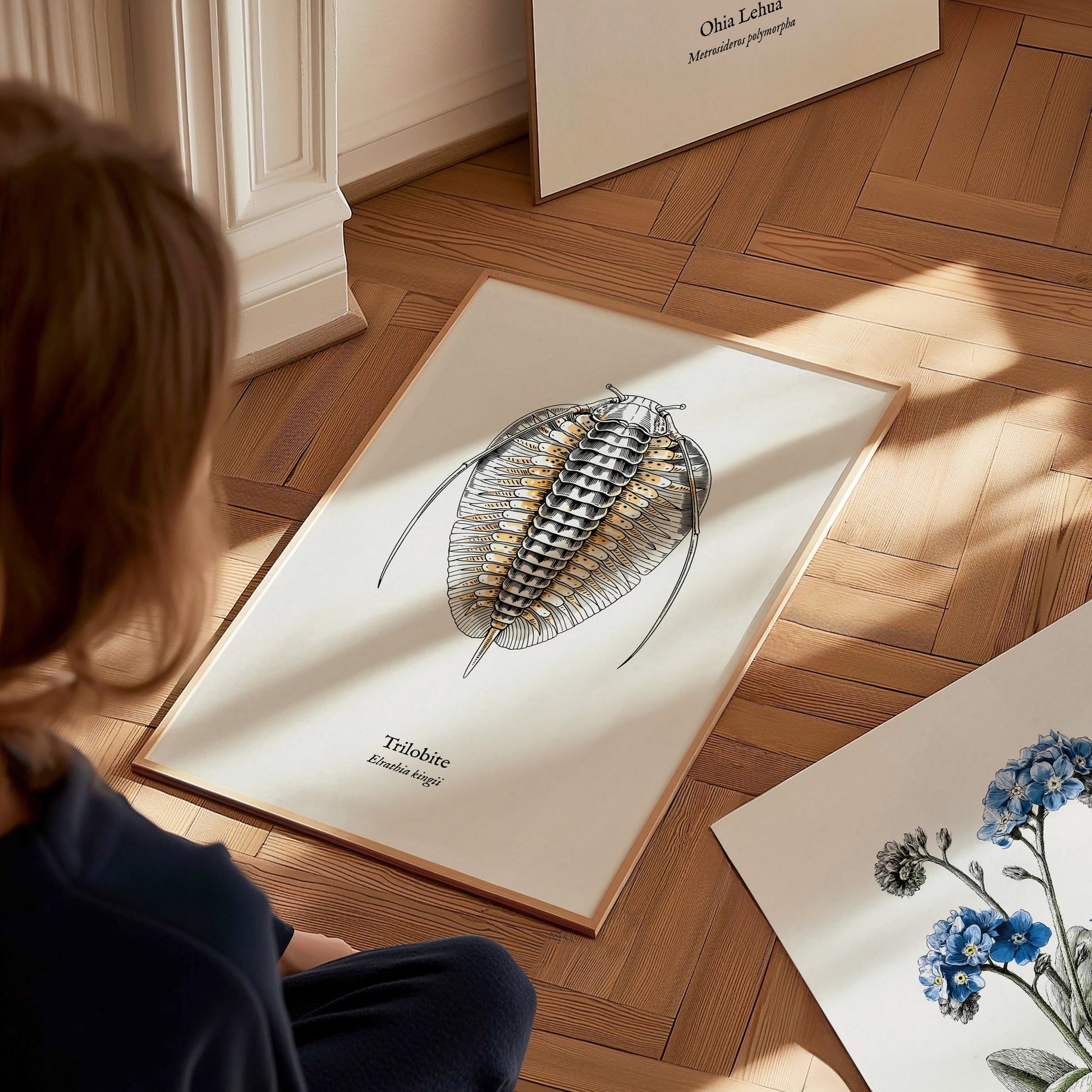 Trilobite Poster | Vintage Elrathia kingii Zoological Illustration Wall Art — styled in a modern interior