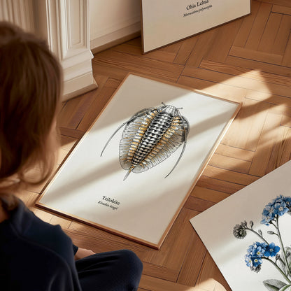 Trilobite Poster | Vintage Elrathia kingii Zoological Illustration Wall Art — styled in a modern interior