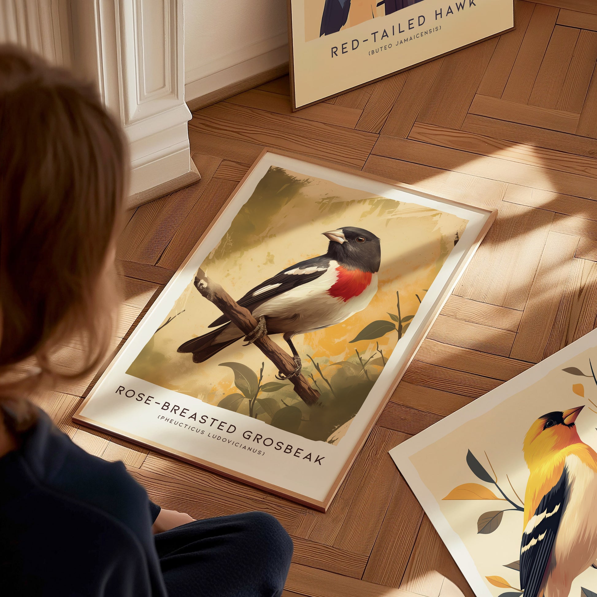 Rose-breasted Grosbeak Art | Songbird Poster Gift for Birdwatchers