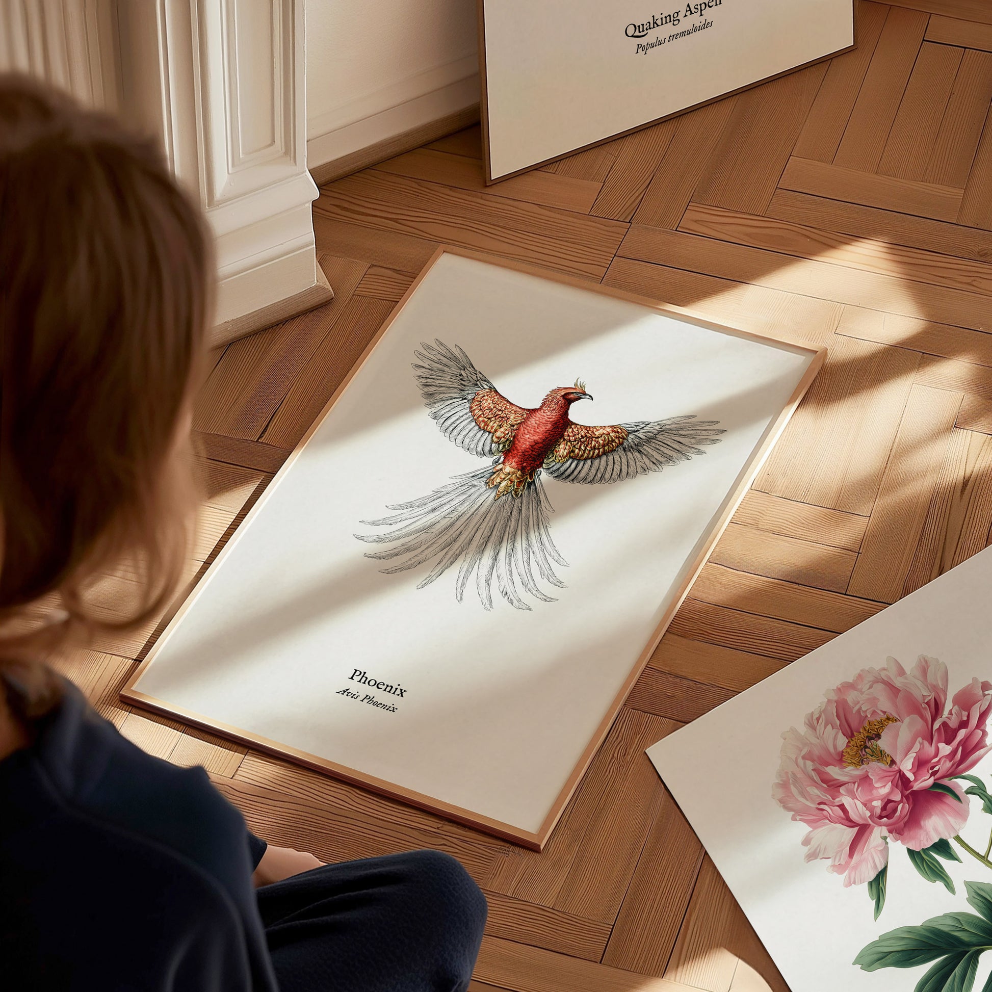 Phoenix Poster | Vintage Avis Phoenix Zoological Illustration Wall Art — styled in a modern interior