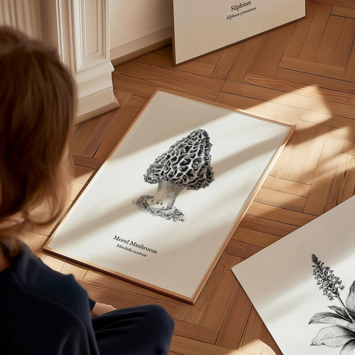 Morel Mushroom Poster | Morchella esculenta Pen and Ink Print Vintage Scientific Illustration — styled in a modern interior
