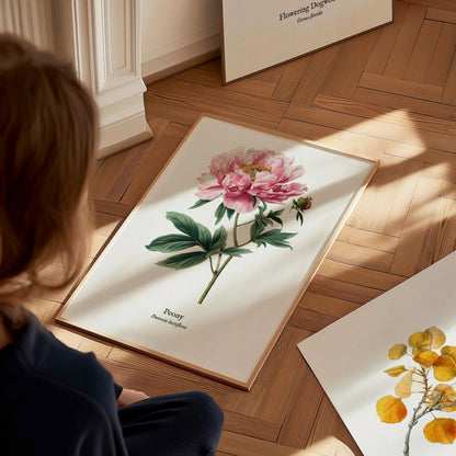 Peony Poster | Vintage Paeonia Lactiflora Botanical Illustration Wall Art — styled in a modern interior