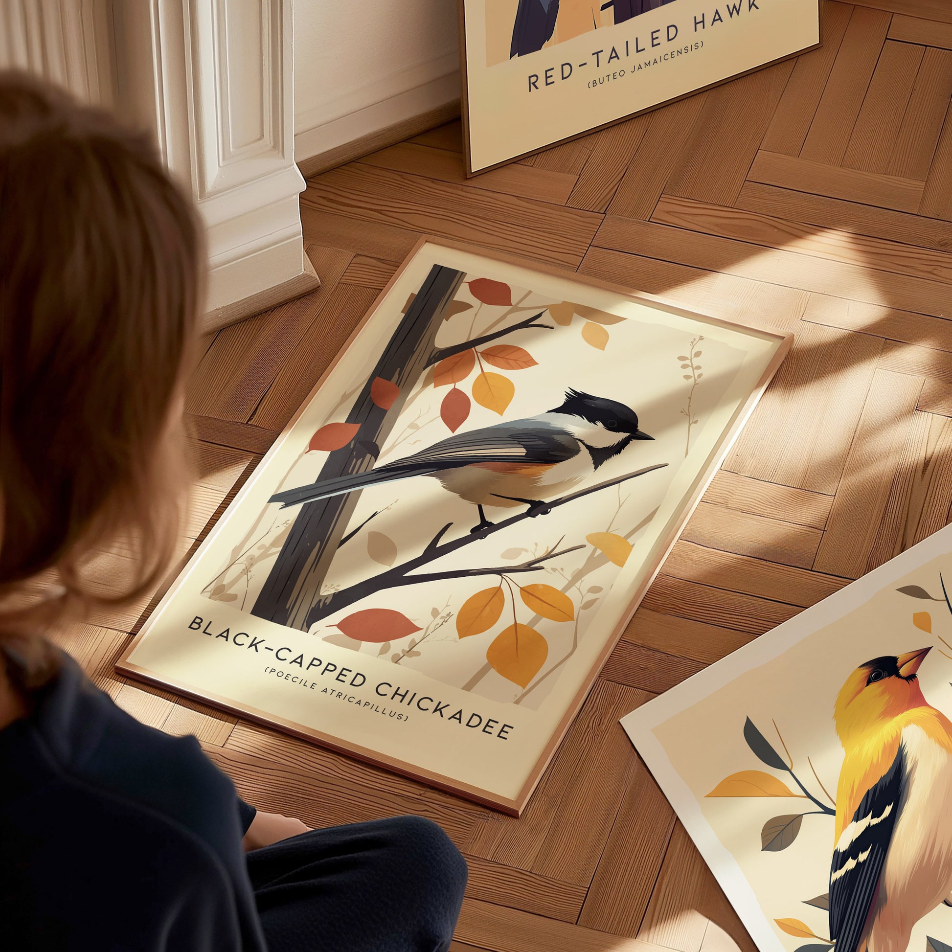 Black-Capped Chickadee Audubon Print | Modern Bird Lover Wall Art | Framed of Unframed