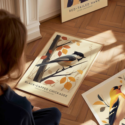 Black-Capped Chickadee Audubon Print | Modern Bird Lover Wall Art | Framed of Unframed