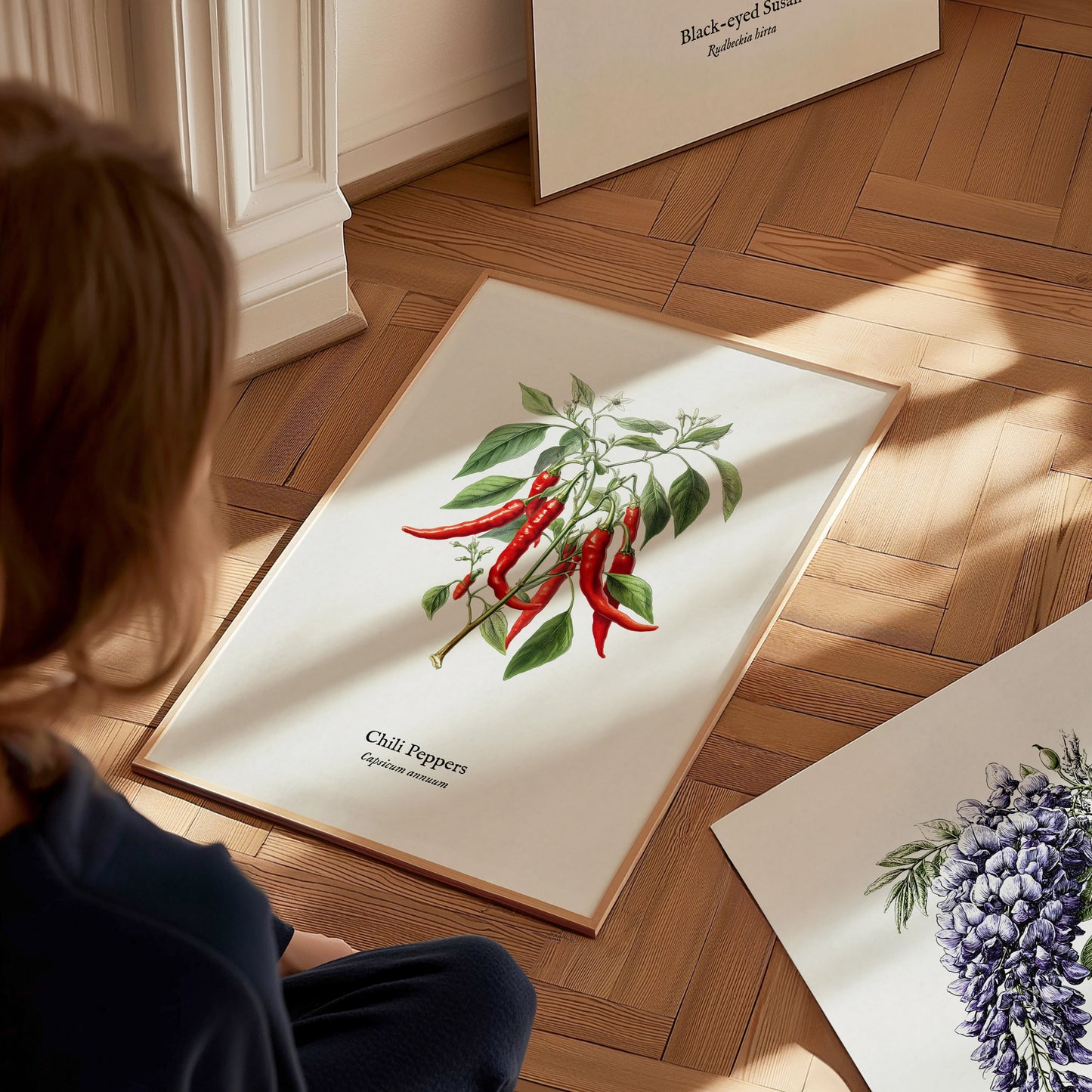 Chili Peppers Poster | Vintage Capsicum Annuum Botanical Illustration Wall Art — styled in a modern interior