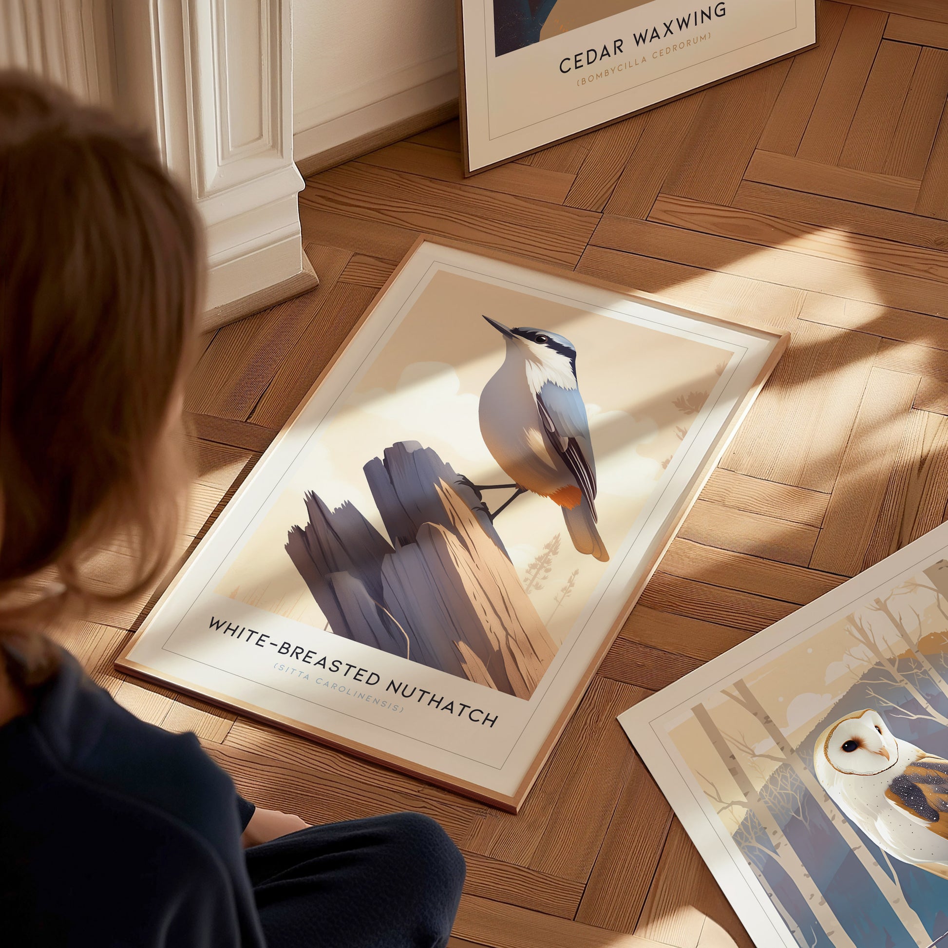 White-Breasted Nuthatch Poster | Minimalist Bird Art Birdwatcher Gift