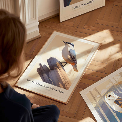 White-Breasted Nuthatch Poster | Minimalist Bird Art Birdwatcher Gift