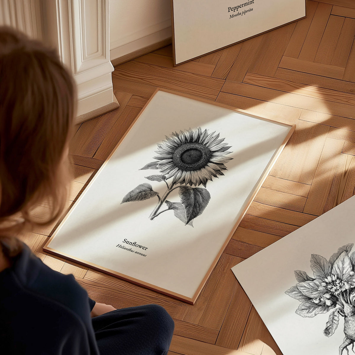 Sunflower Poster | Helianthus annuus Vintage Botanical Ink Illustration Line Art Print — styled in a modern interior