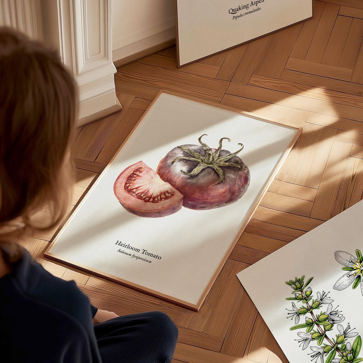 Heirloom Tomato Poster | Vintage Solanum Lycopersicum Botanical Illustration Wall Art — styled in a modern interior