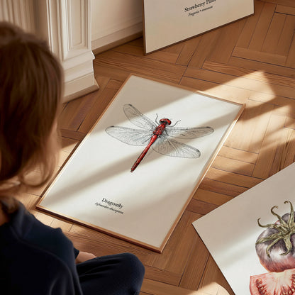 Dragonfly Poster | Vintage Anisoptera Zoological Illustration Wall Art — styled in a modern interior