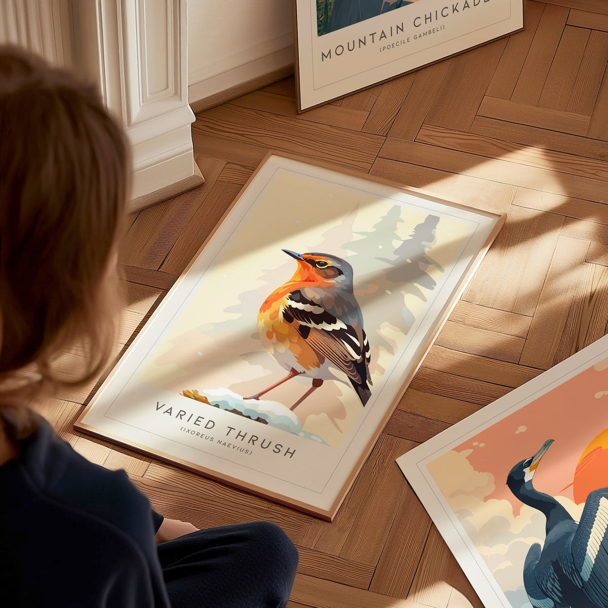 Varied Thrush, Ixoreus naevius Poster | Bold Forest Songbird Nature Poster Wall Art — styled in a modern interior