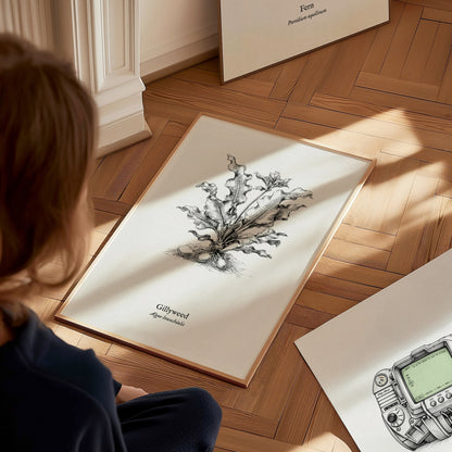 Gillyweed Poster | Algae Branchialis Pen and Ink Print Vintage Scientific Illustration — styled in a modern interior