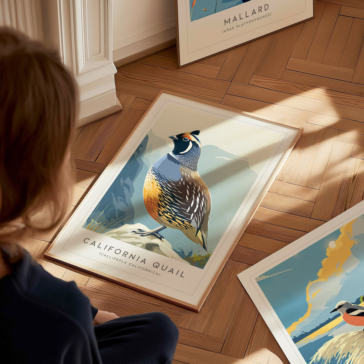 California Quail Poster | Golden State Bird Illustration Wall Art — styled in a modern interior