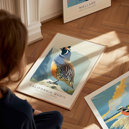 California Quail Poster | Golden State Bird Illustration Wall Art — styled in a modern interior