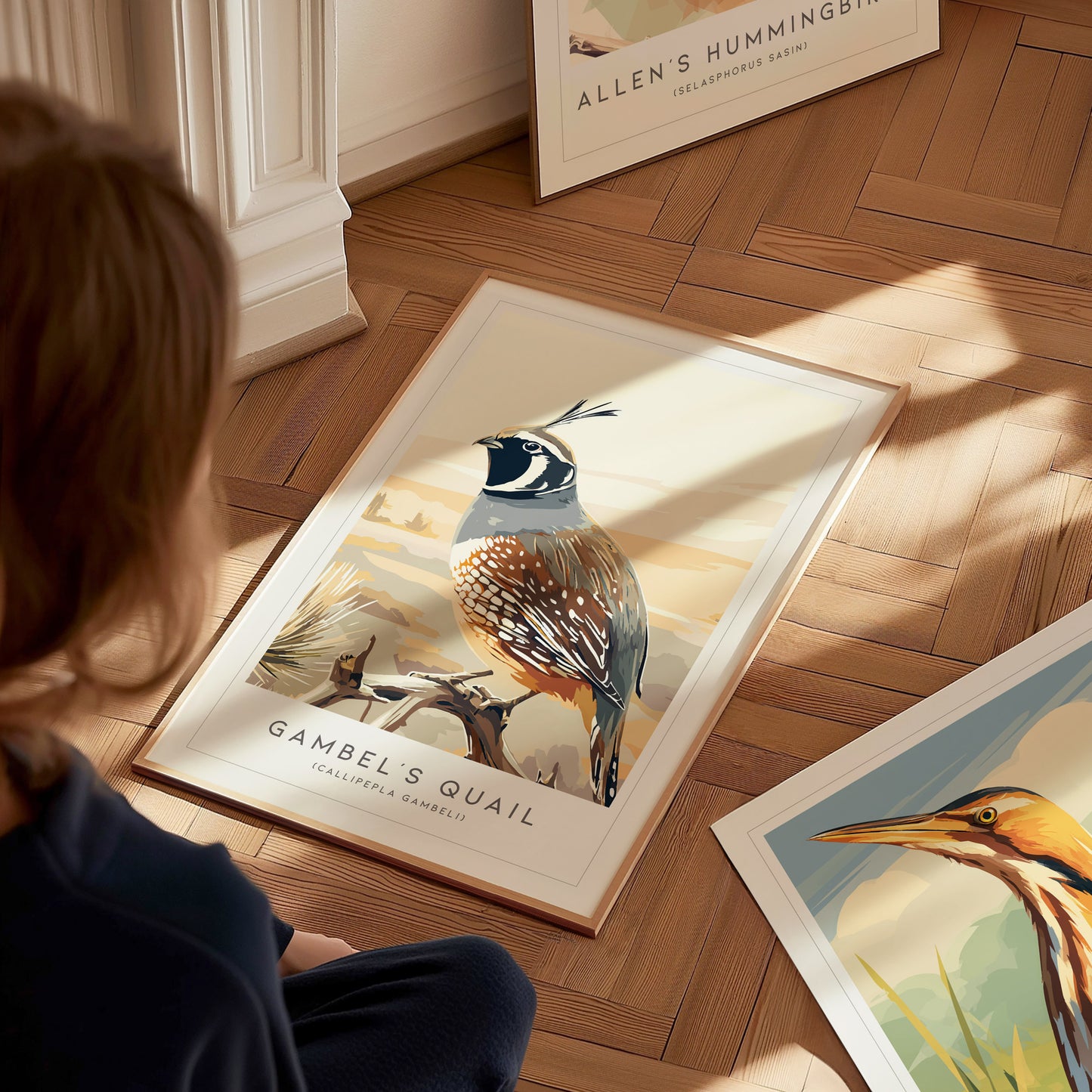 Gambel's Quail, Callipepla gambeli Poster | Desert Bird Wall Art Wildlife Print — styled in a modern interior