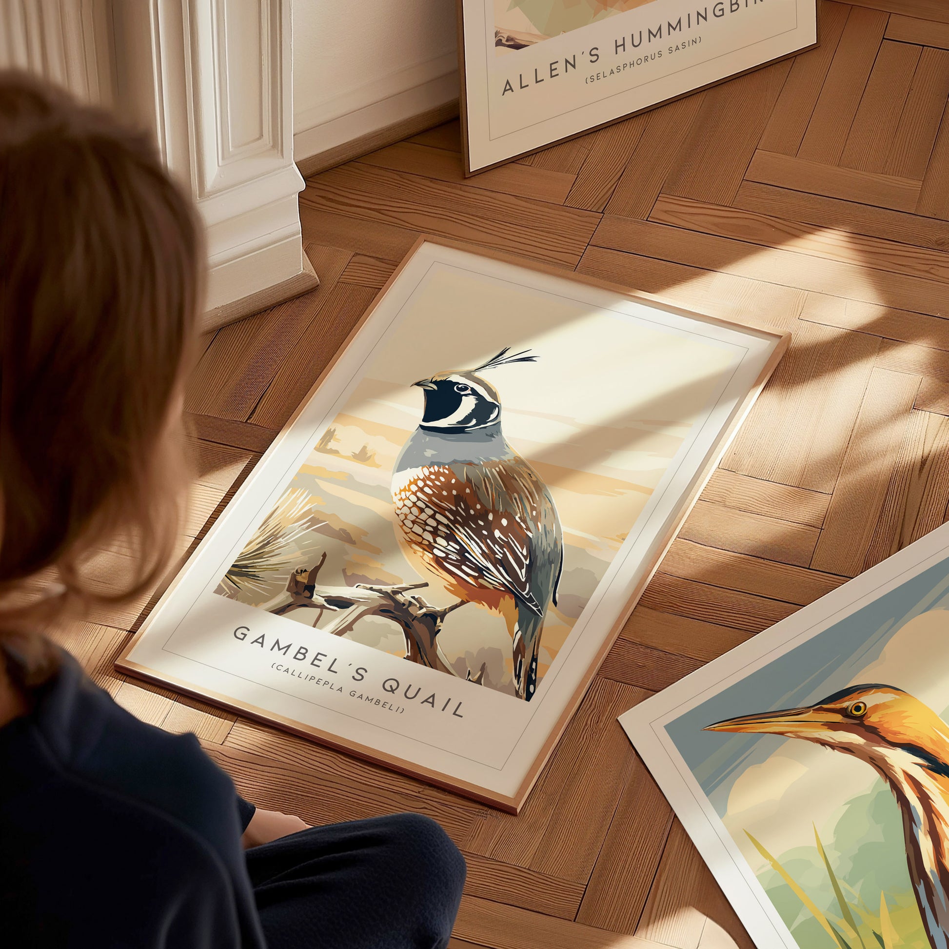Gambel's Quail, Callipepla gambeli Poster | Desert Bird Wall Art Wildlife Print — styled in a modern interior