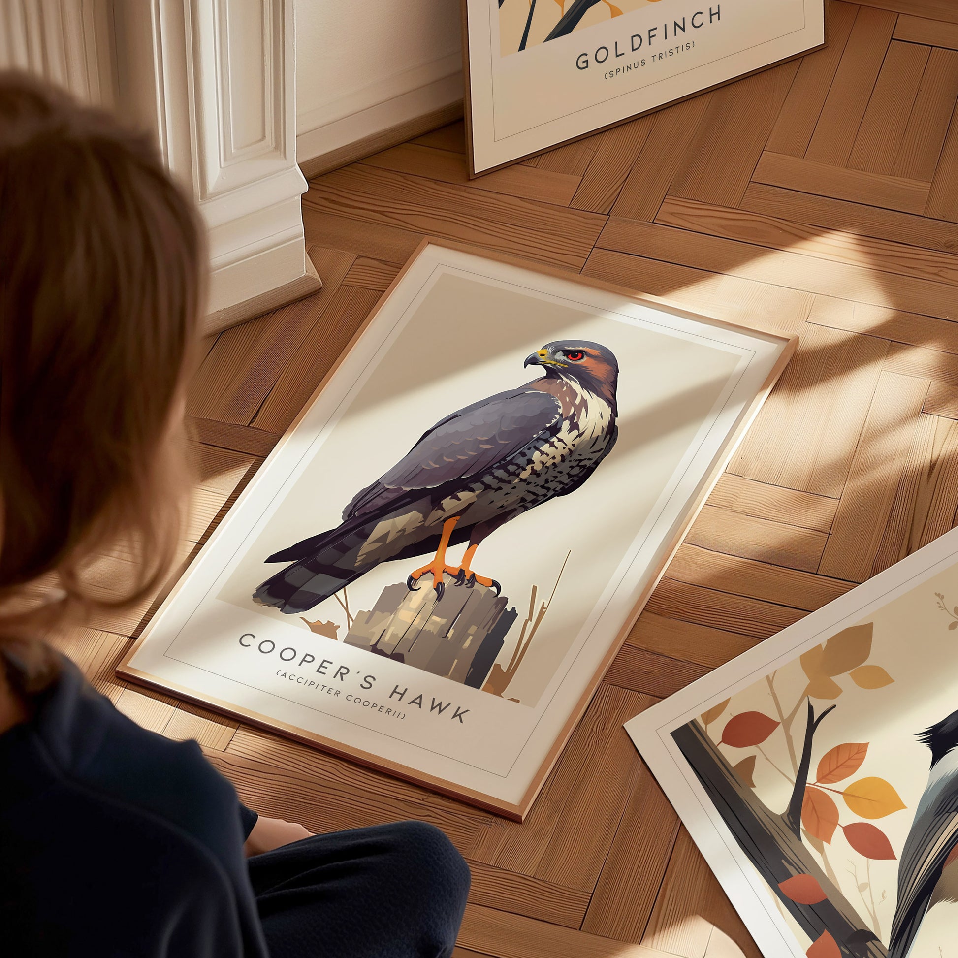 Cooper's Hawk Audubon Print | Bird Lover Modern Wildlife Wall Art | Framed or Unframed