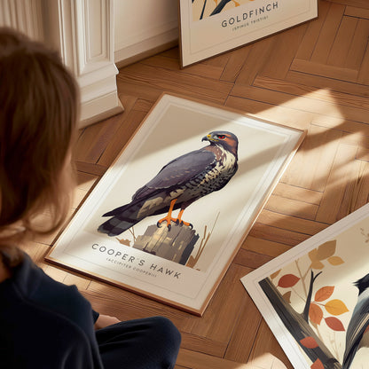 Cooper's Hawk Audubon Print | Bird Lover Modern Wildlife Wall Art | Framed or Unframed
