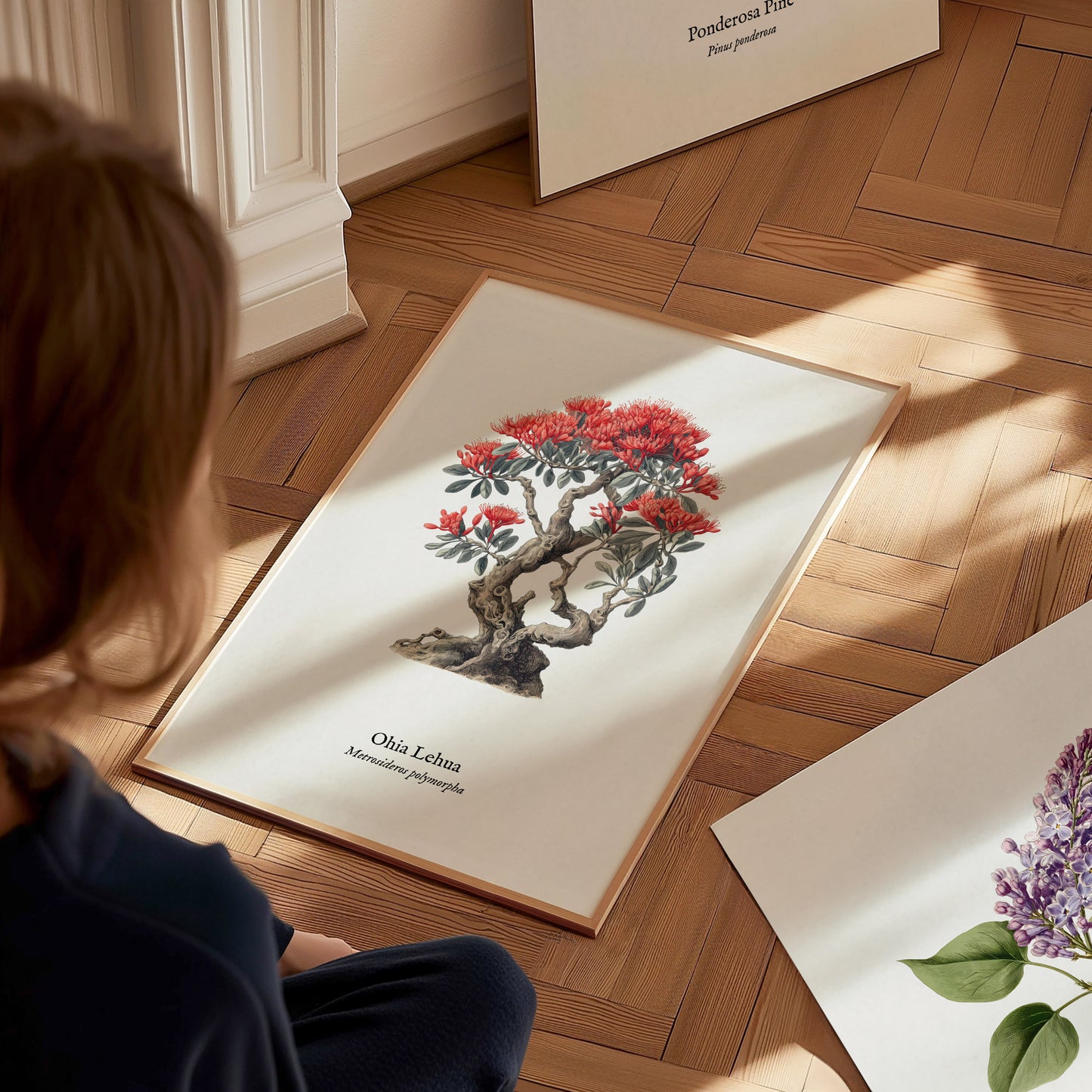 Ohia Lehua Poster | Vintage Metrosideros polymorpha Botanical Illustration Wall Art — styled in a modern interior