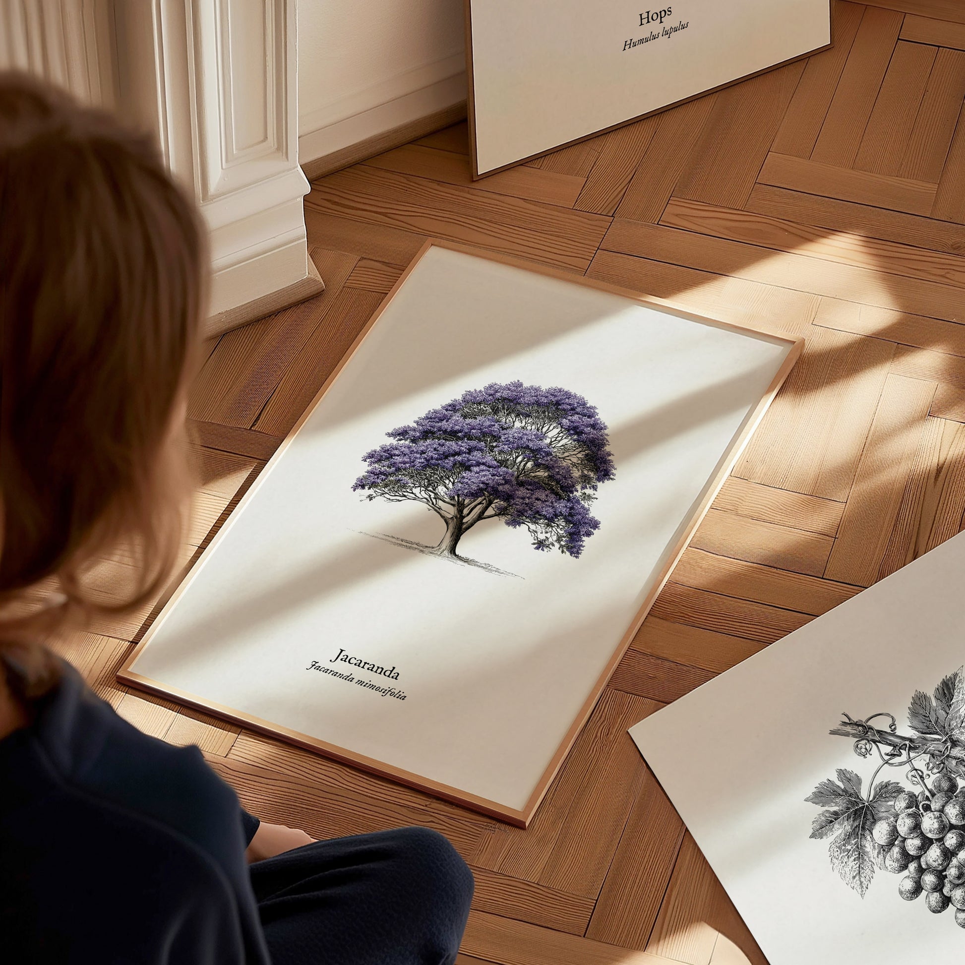 Jacaranda Poster | Vintage Jacaranda mimosifolia Botanical Illustration Wall Art — styled in a modern interior