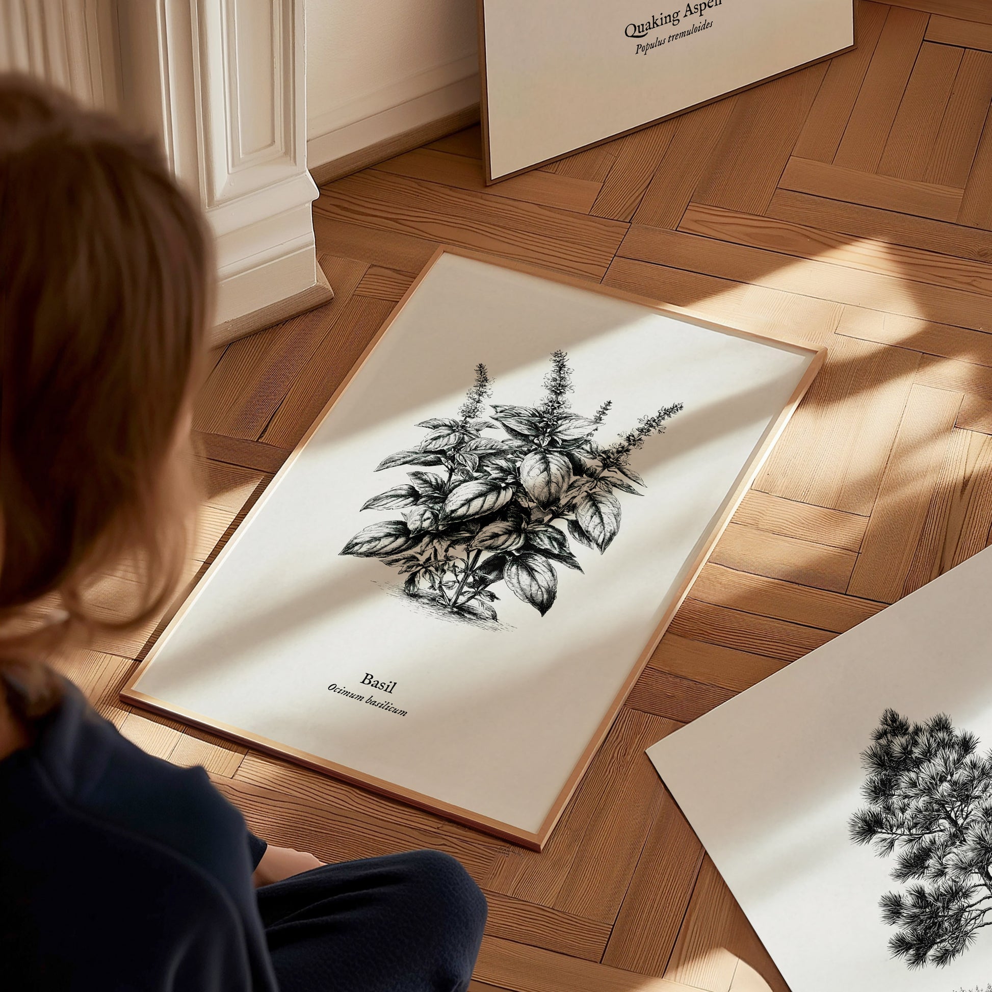 Basil Poster | Ocimum basilicum Pen and Ink Print | Vintage Botanical Illustration Wall Art — styled in a modern interior