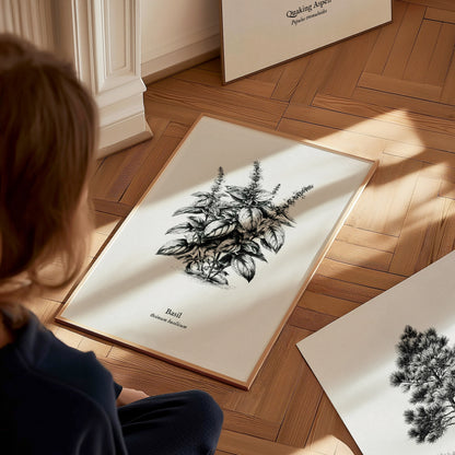 Basil Poster | Ocimum basilicum Pen and Ink Print | Vintage Botanical Illustration Wall Art — styled in a modern interior