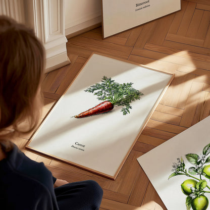 Carrot Poster | Daucus Carota Pen and Ink Print | Vintage Botanical Illustration Wall Art — styled in a modern interior