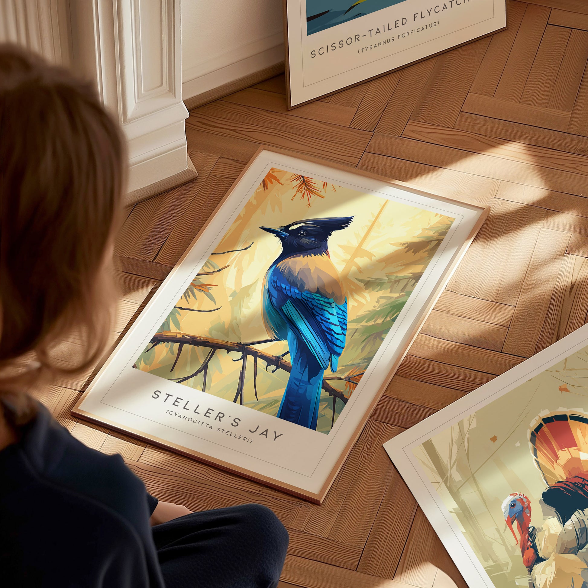 Steller's Jay, Cyanocitta stelleri Poster | Bold Mountain Bird Wall Art — styled in a modern interior