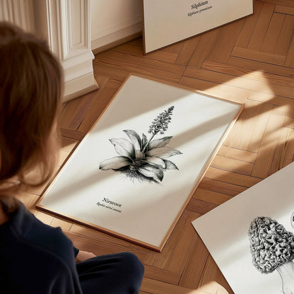 Nirnroot Poster | Radix Nirni Sonora Pen and Ink Print Vintage Botanical Illustration Wall Art — styled in a modern interior