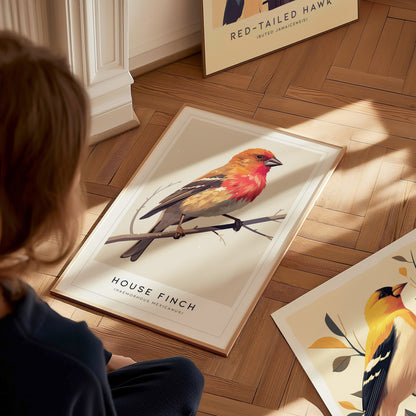 House Finch Poster | Haemorhous mexicanus Bird Wall Art