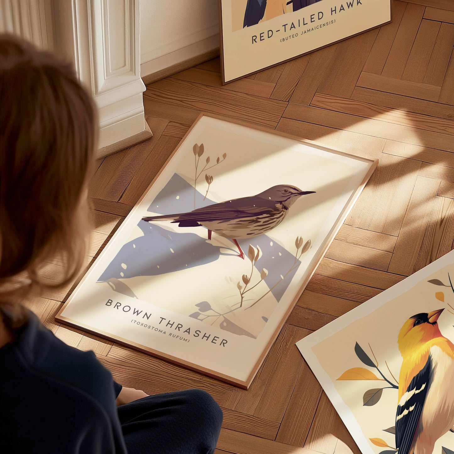 Brown Thrasher Audubon Print | Modern Bird Lover Wall Art | Framed or Unframed