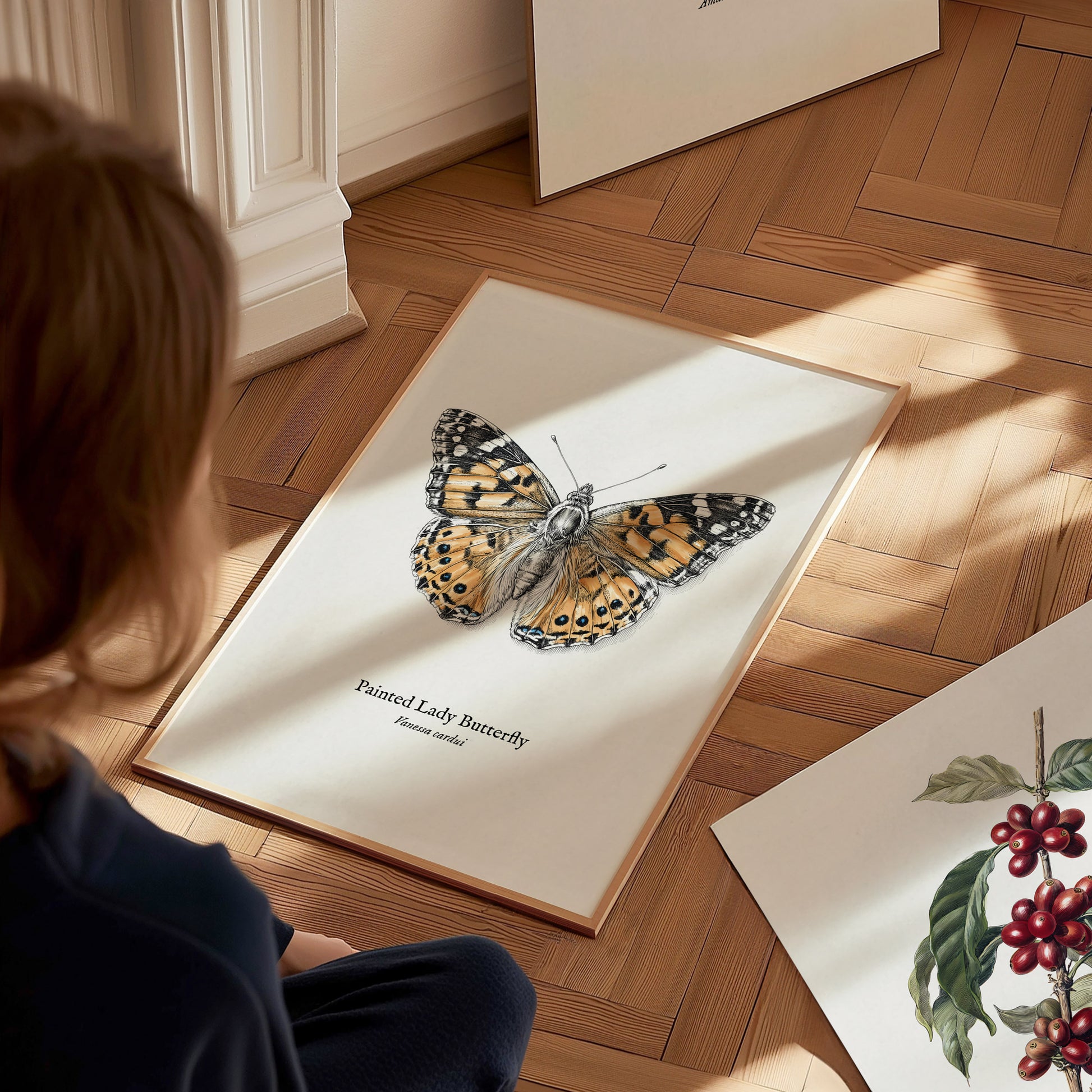 Painted Lady Butterfly Poster | Vintage Vanessa cardui Zoological Illustration Wall Art — styled in a modern interior