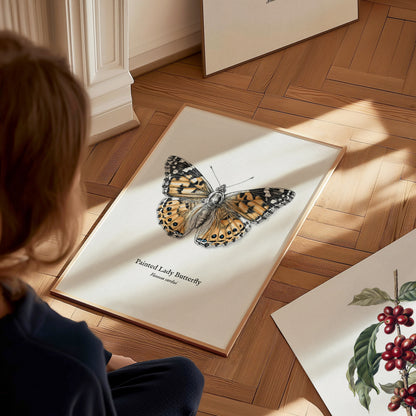 Painted Lady Butterfly Poster | Vintage Vanessa cardui Zoological Illustration Wall Art — styled in a modern interior