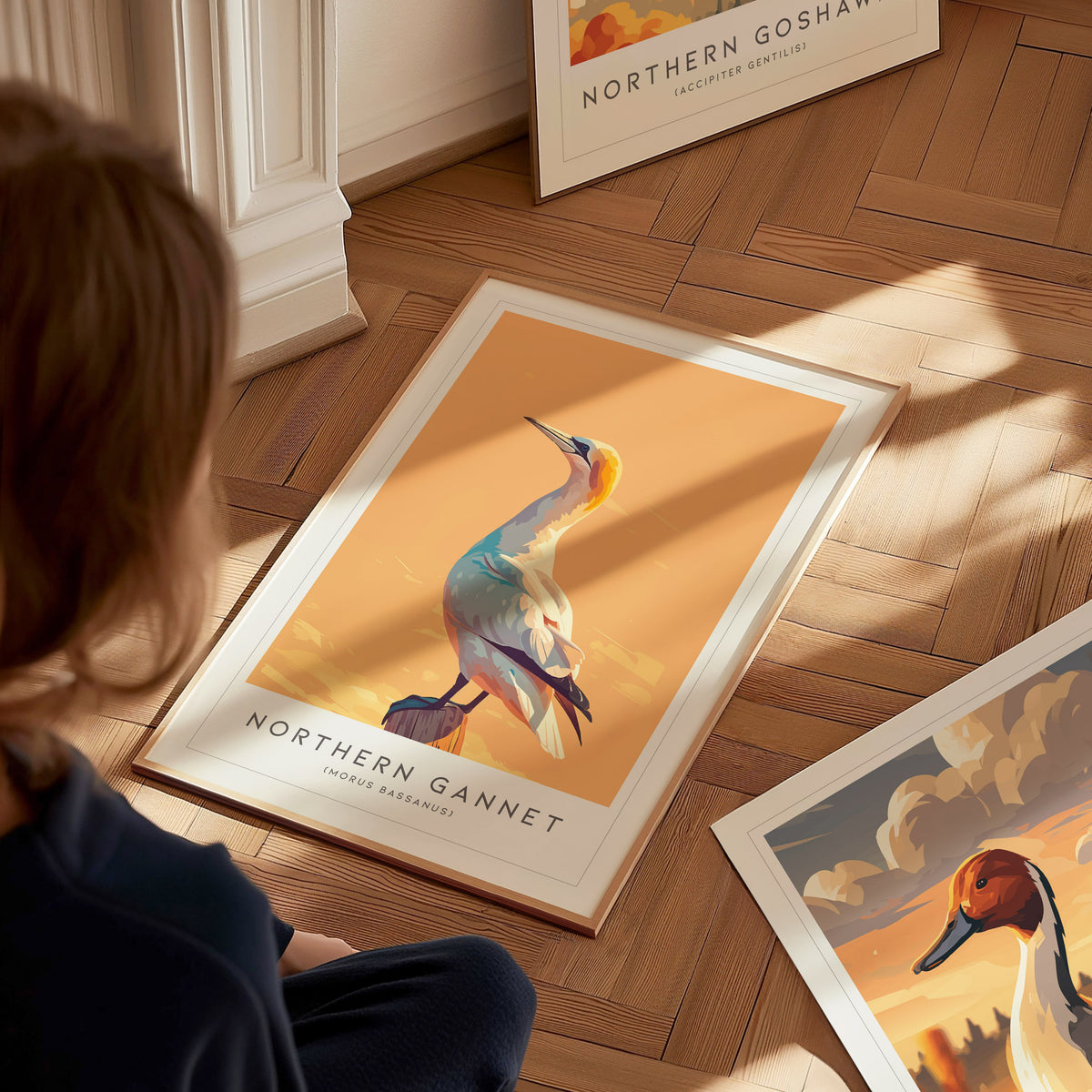 Northern Gannet, Morus bassanus Poster | Striking Seabird Wildlife Print Wall Art — styled in a modern interior