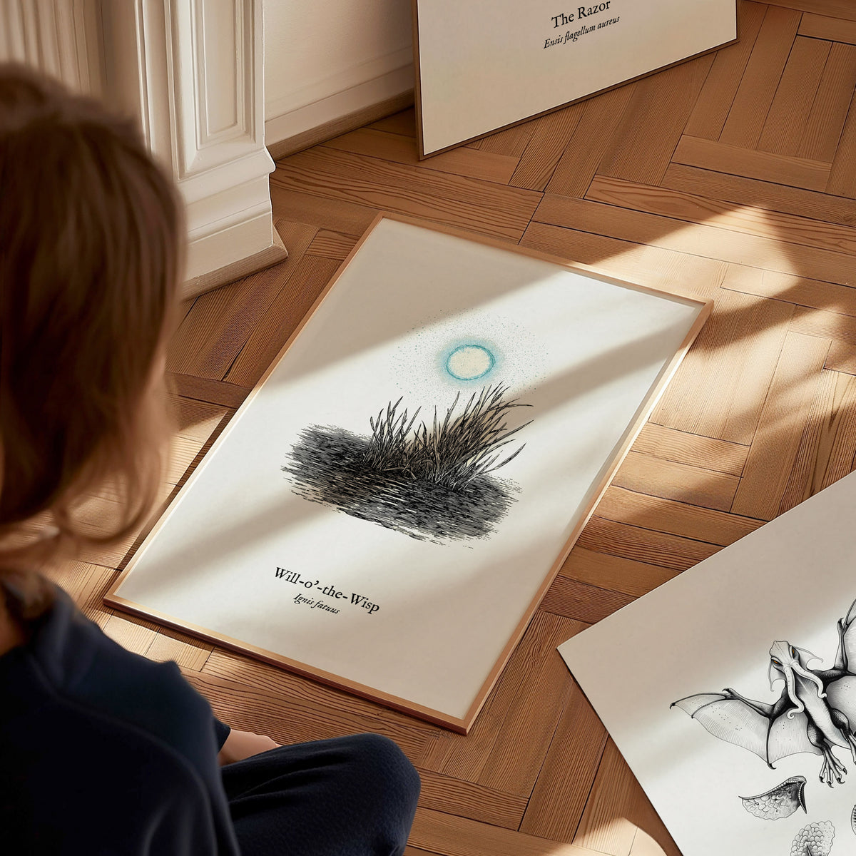 Will-o'-the-Wisp Poster | Ignis Fatuus Pen and Ink Print | Vintage Scientific Illustration Wall Art — styled in a modern inte