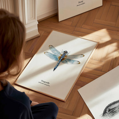 Dragonfly Poster | Vintage Anisoptera Zoological Illustration Wall Art — styled in a modern interior