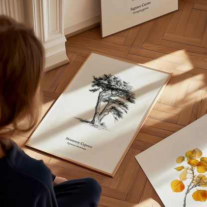 Monterey Cypress Poster | Cupressus macrocarpa Pen and Ink Print Vintage Botanical Illustration — styled in a modern interior