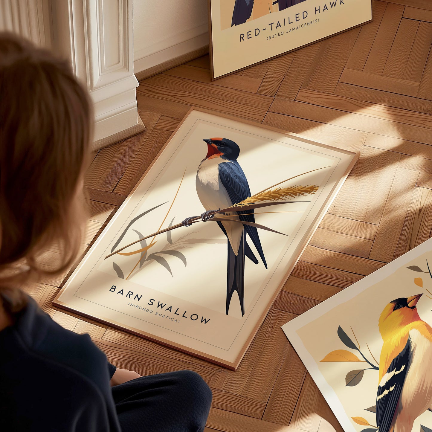 Barn Swallow Audubon Print | Bird Lover Wall Art | Framed or Unframed