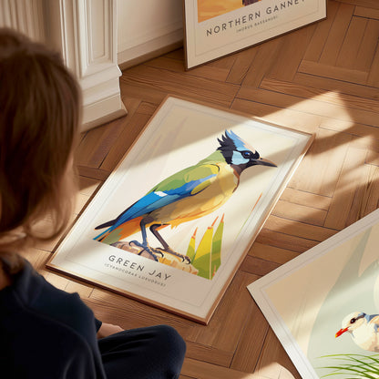 Green Jay, Cyanocorax luxuosus Poster | Tropical Bird Wall Art — styled in a modern interior